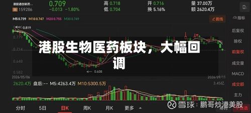 港股生物医药板块，大幅回调