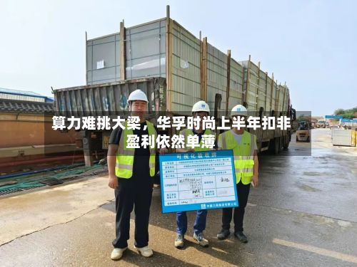 算力难挑大梁，华孚时尚上半年扣非盈利依然单薄-第2张图片