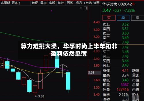 算力难挑大梁，华孚时尚上半年扣非盈利依然单薄-第3张图片