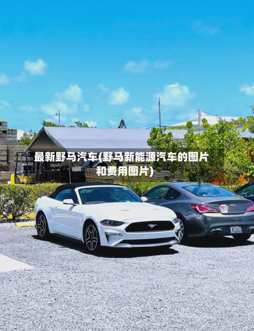 最新野马汽车(野马新能源汽车的图片和费用图片)-第2张图片