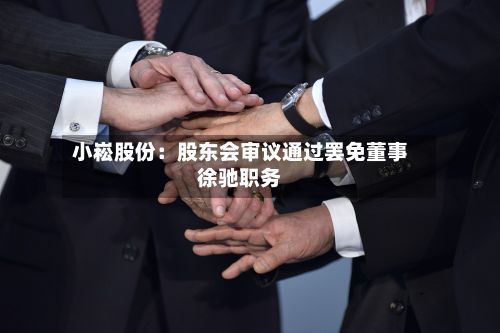 小崧股份:股东会审议通过罢免董事徐驰职务-第2张图片