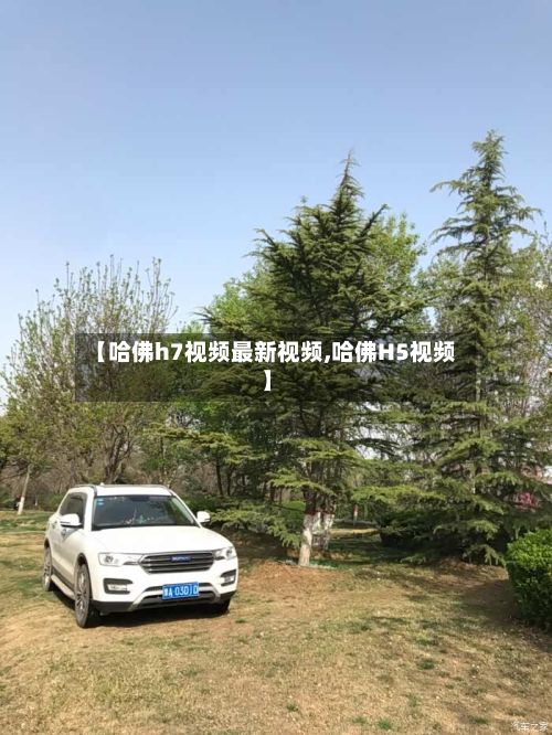 【哈佛h7视频最新视频,哈佛H5视频】