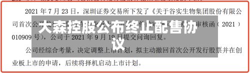 大森控股公布终止配售协议