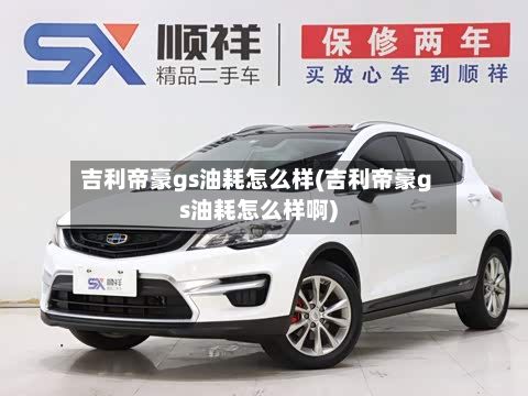 吉利帝豪gs油耗怎么样(吉利帝豪gs油耗怎么样啊)-第3张图片
