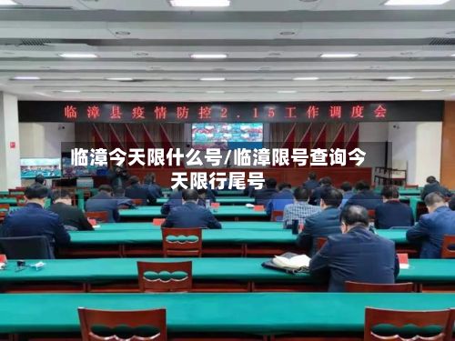 临漳今天限什么号/临漳限号查询今天限行尾号-第2张图片