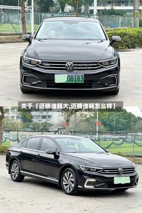 关于【迈腾油耗大,迈腾油耗怎么样】