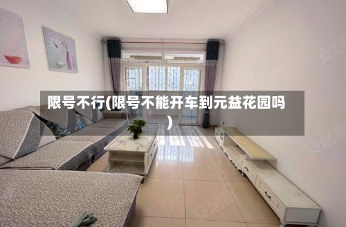 限号不行(限号不能开车到元益花园吗)