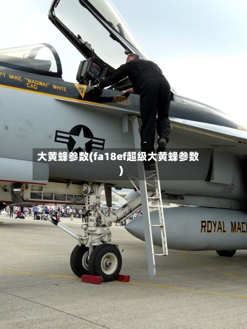 大黄蜂参数(fa18ef超级大黄蜂参数)-第2张图片