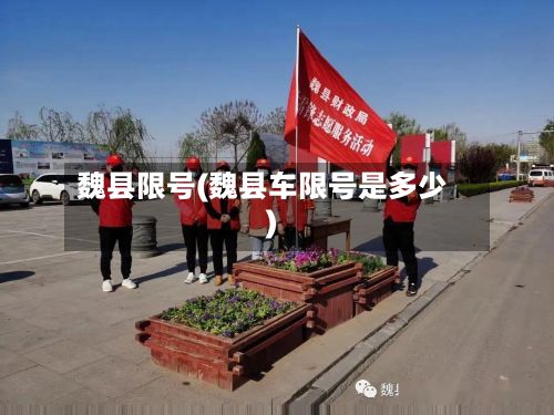 魏县限号(魏县车限号是多少)