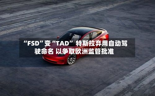 “FSD	”变“TAD” 特斯拉弃用自动驾驶命名 以争取欧洲监管批准-第3张图片