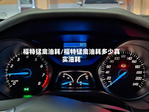 福特猛禽油耗/福特猛禽油耗多少真实油耗