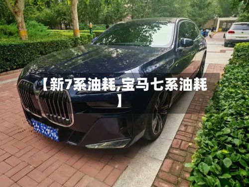 【新7系油耗,宝马七系油耗】