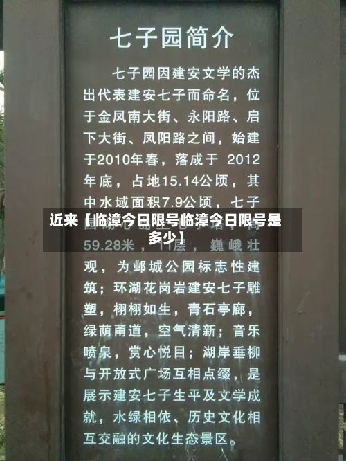 近来【临漳今日限号临漳今日限号是多少】-第2张图片