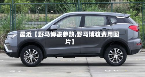 最近【野马博骏参数,野马博骏费用图片】-第2张图片