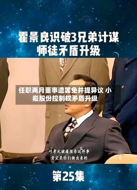 任职两月董事遭罢免并提异议 小崧股份控制权矛盾升级-第2张图片