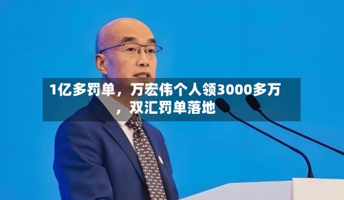 1亿多罚单，万宏伟个人领3000多万，双汇罚单落地-第3张图片