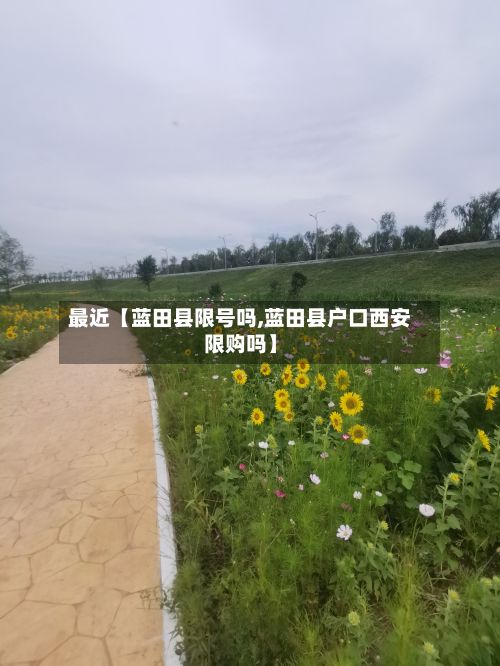 最近【蓝田县限号吗,蓝田县户口西安限购吗】