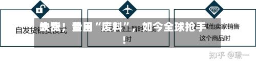 缺货，费用大涨！昔日“废料”，如今全球抢手！