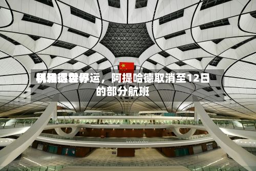 利雅得世界机场遇袭停运，阿提哈德取消至12日的部分航班-第2张图片