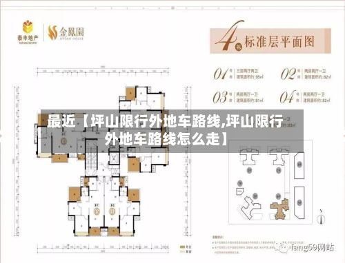 最近【坪山限行外地车路线,坪山限行外地车路线怎么走】-第2张图片