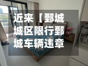 近来【鄄城城区限行鄄城车辆违章处理在哪里办理】