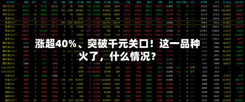 涨超40%、突破千元关口！这一品种火了，什么情况？-第3张图片