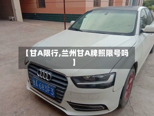 【甘A限行,兰州甘A牌照限号吗】-第3张图片