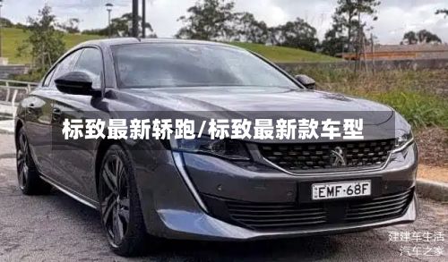 标致最新轿跑/标致最新款车型-第3张图片