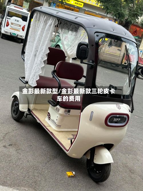 金彭最新款型/金彭最新款三轮皮卡车的费用