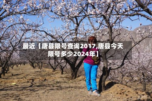 最近【唐县限号查询2017,唐县今天限号多少2024年】