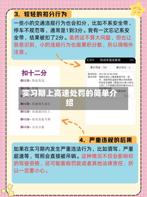 实习期上高速处罚的简单介绍