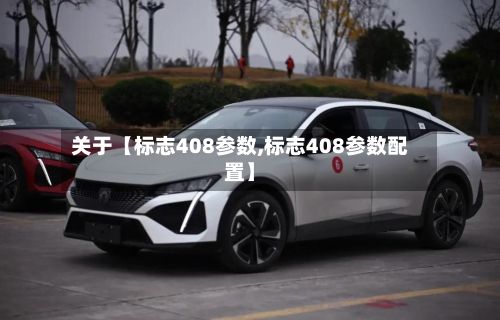 关于【标志408参数,标志408参数配置】