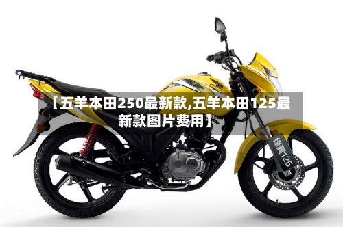 【五羊本田250最新款,五羊本田125最新款图片费用】-第2张图片