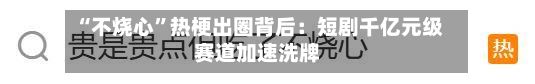 “不烧心”热梗出圈背后：短剧千亿元级赛道加速洗牌