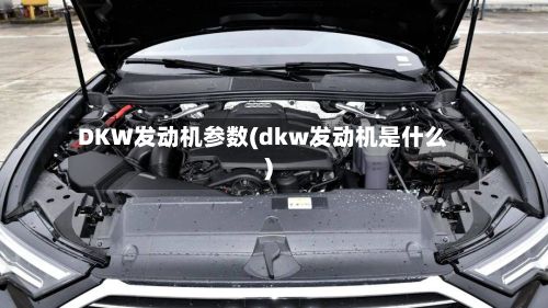 DKW发动机参数(dkw发动机是什么)
