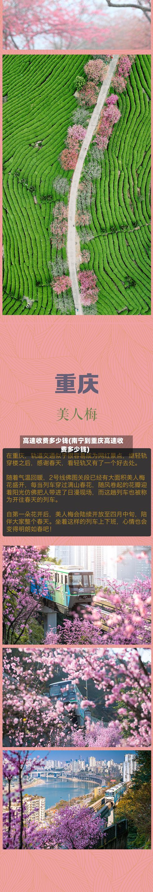 高速收费多少钱(南宁到重庆高速收费多少钱)-第3张图片