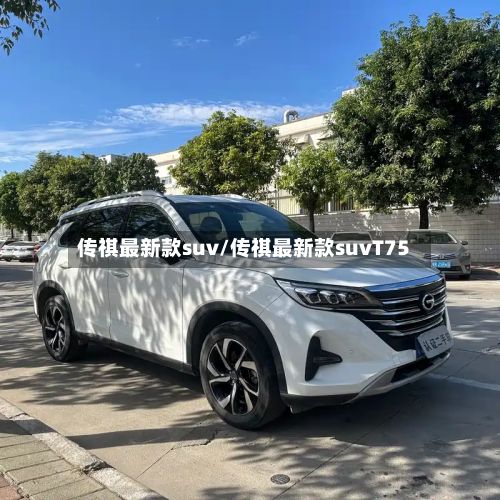 传祺最新款suv/传祺最新款suvT75-第3张图片