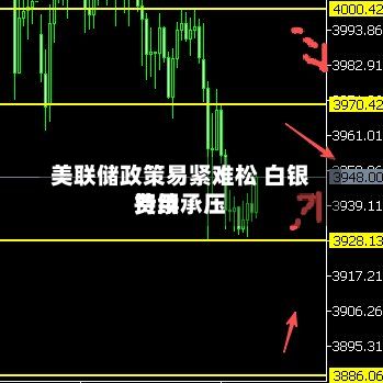 美联储政策易紧难松 白银费用
持续承压-第2张图片