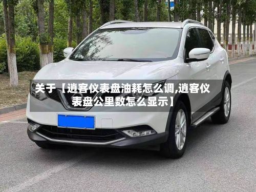 关于【逍客仪表盘油耗怎么调,逍客仪表盘公里数怎么显示】
