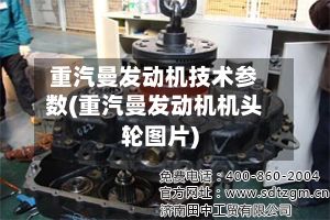 重汽曼发动机技术参数(重汽曼发动机机头轮图片)-第3张图片