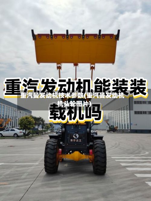 重汽曼发动机技术参数(重汽曼发动机机头轮图片)-第2张图片