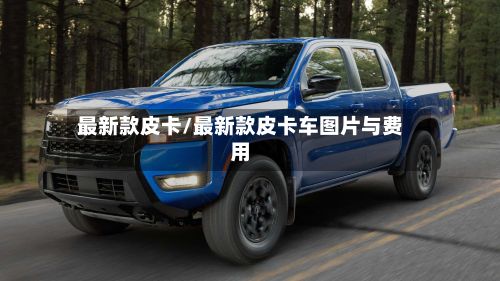 最新款皮卡/最新款皮卡车图片与费用-第2张图片