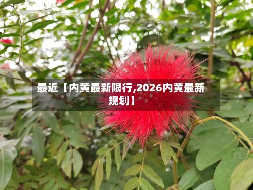 最近【内黄最新限行,2026内黄最新规划】