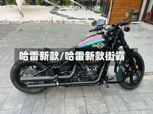 哈雷新款/哈雷新款街霸