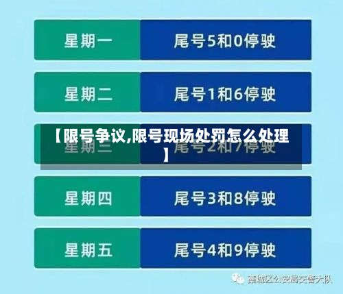 【限号争议,限号现场处罚怎么处理】-第2张图片