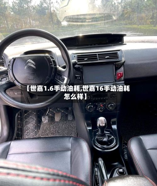 【世嘉1.6手动油耗,世嘉16手动油耗怎么样】-第1张图片