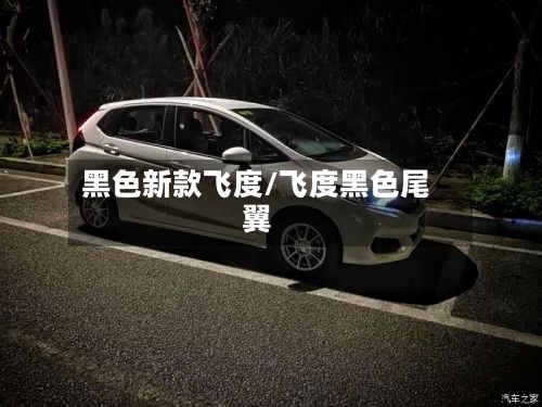 黑色新款飞度/飞度黑色尾翼