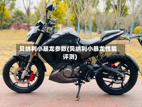 贝纳利小暴龙参数(贝纳利小暴龙性能评测)-第2张图片