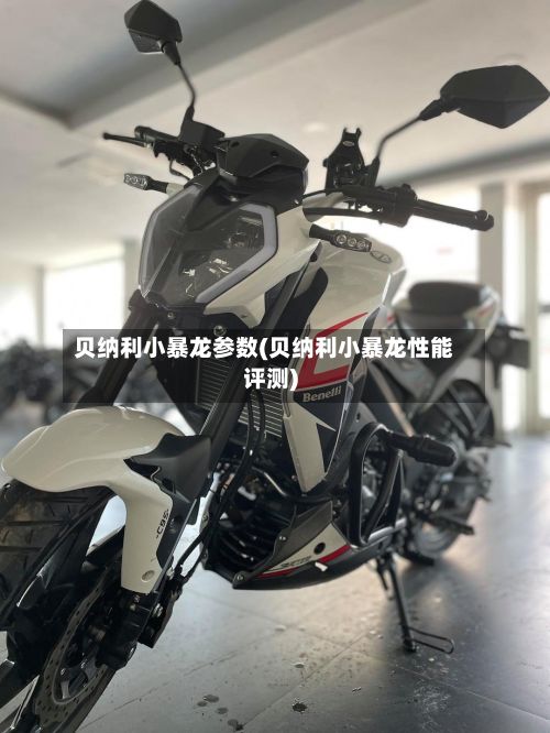 贝纳利小暴龙参数(贝纳利小暴龙性能评测)