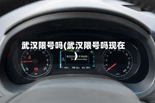 武汉限号吗(武汉限号吗现在)-第2张图片
